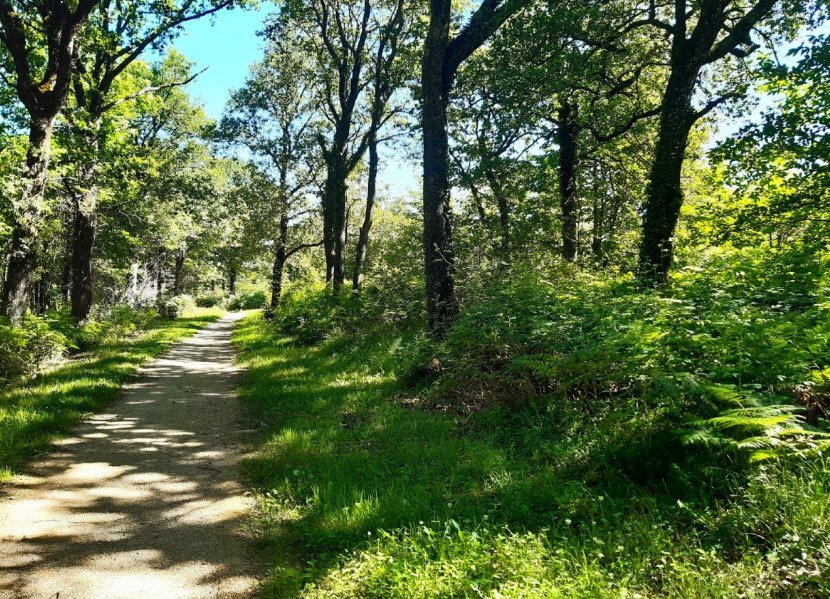 Brandes de Soyaux, Soyaux, France, France